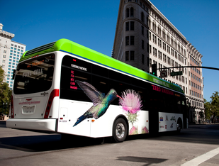 Fuel-cell bus operated by Californian company AC Transit